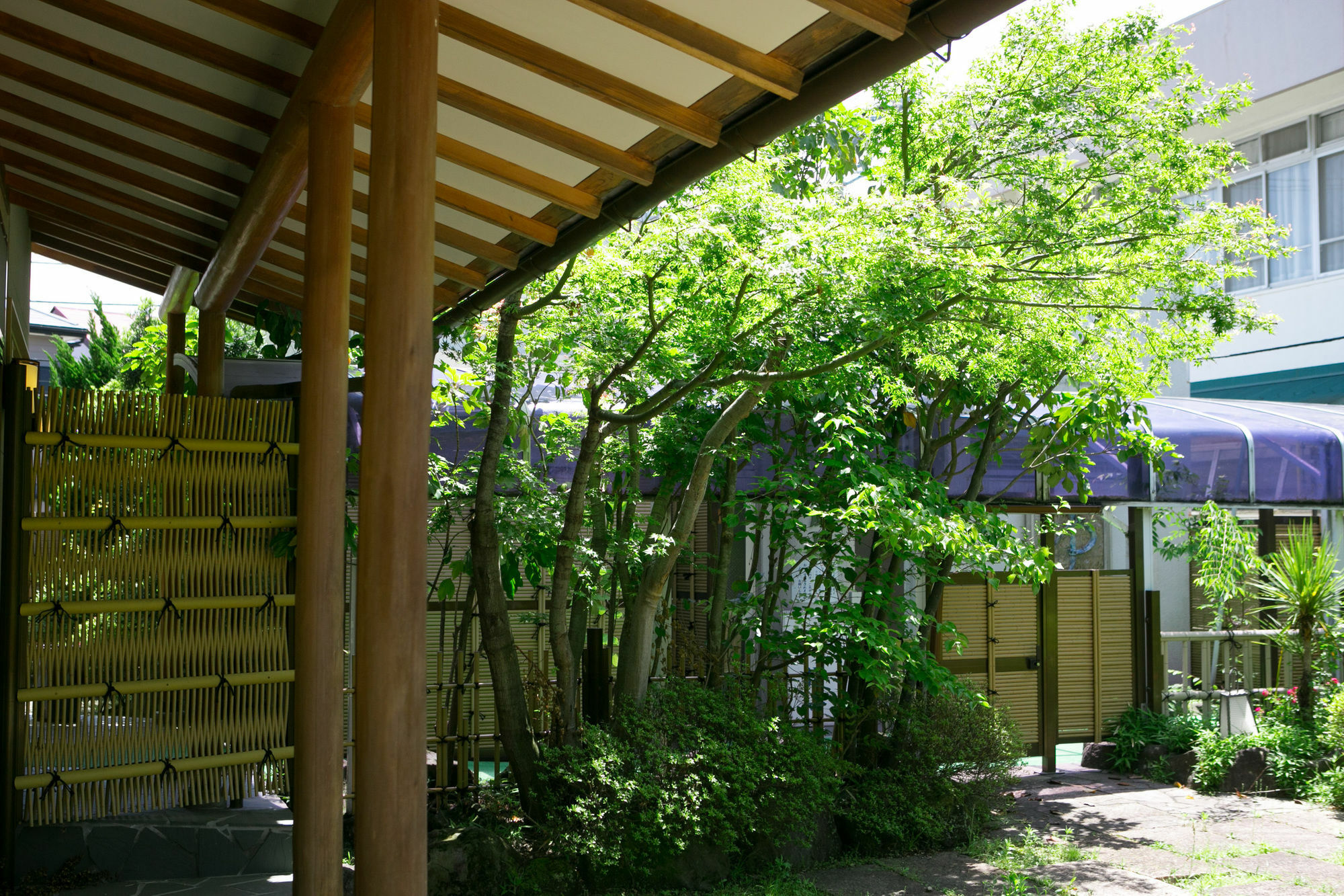 Yugawara-Onsen Manyoso Hotel Exterior foto